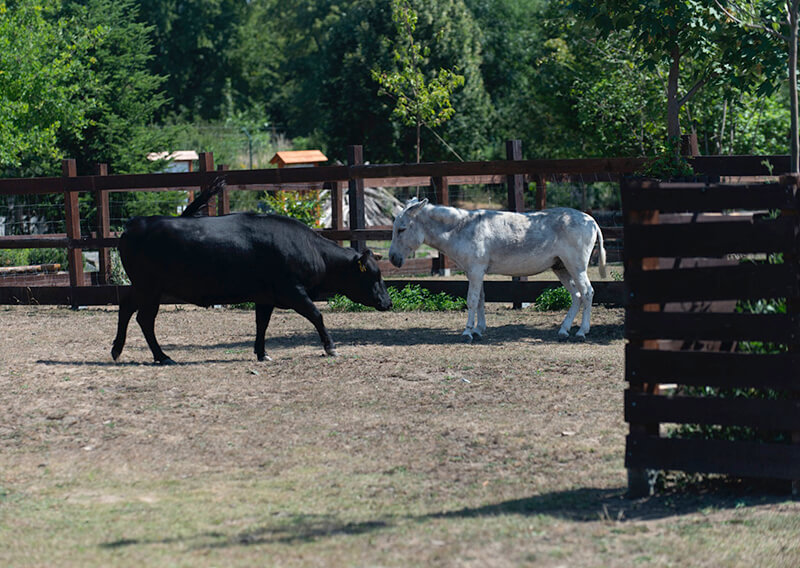 Obrázek 3