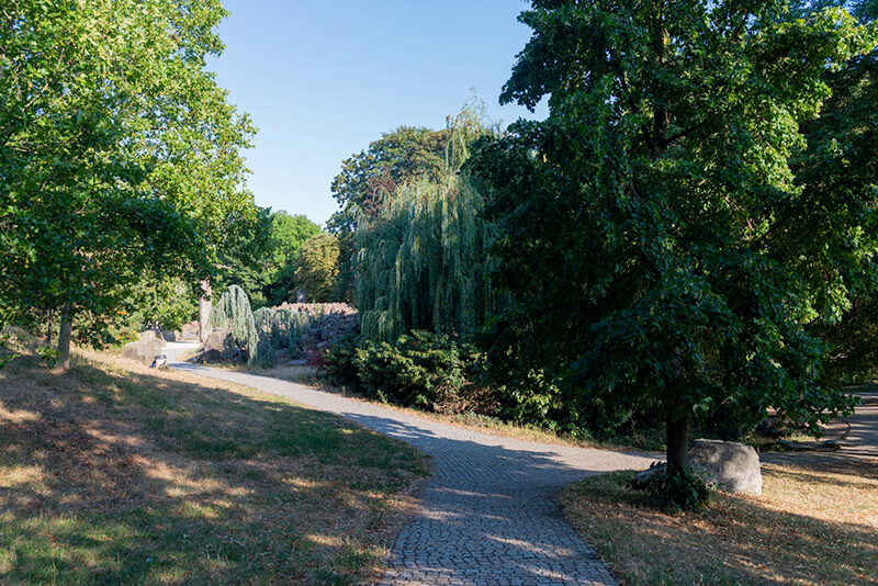 Obrázek 8