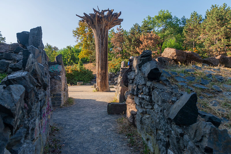Obrázek 6