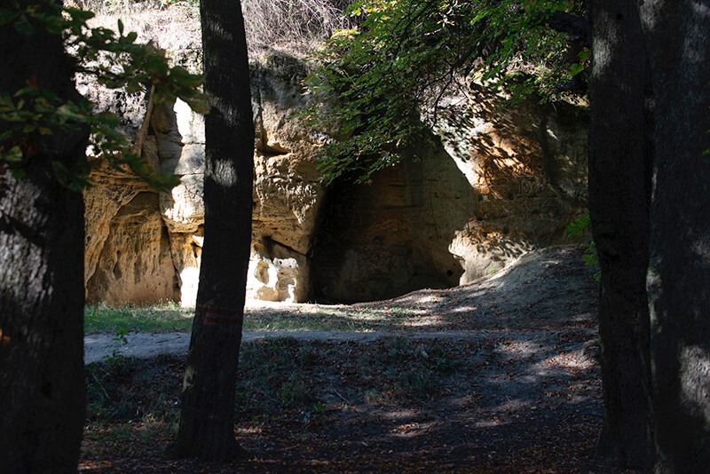 Obrázek 6
