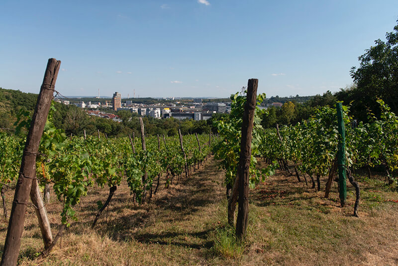 Obrázek 1