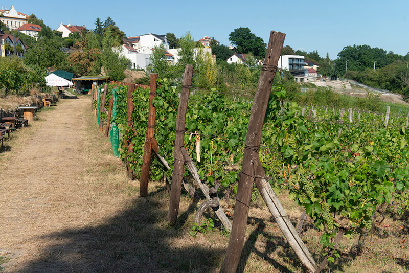 Obrázek 2